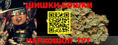 дмт Обь