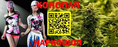 дмт Обь