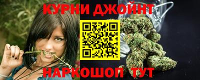 дмт Обь