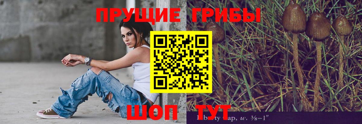 Псилоцибиновые грибы Cubensis Севастополь